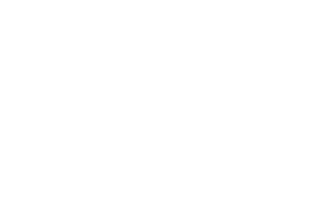 neen studios logo white w